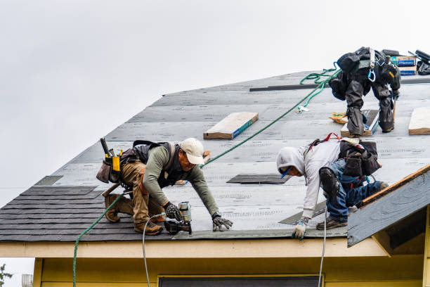 Professional Roofing technician working in Olga, WA